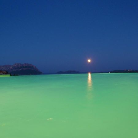 Villa And Pool Tavolara ViewPorto Istana エクステリア 写真