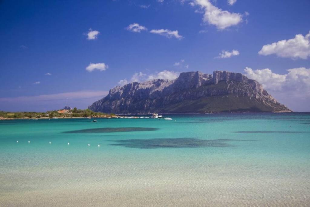 Villa And Pool Tavolara ViewPorto Istana エクステリア 写真