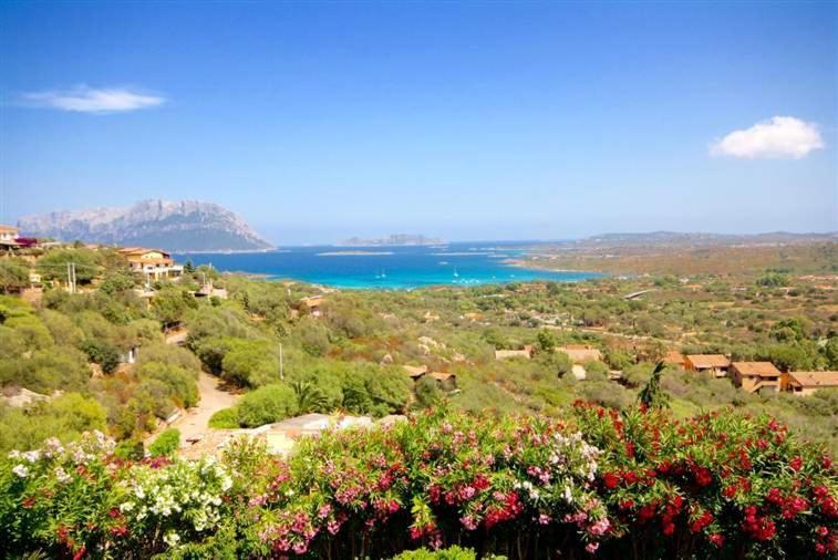 Villa And Pool Tavolara ViewPorto Istana エクステリア 写真